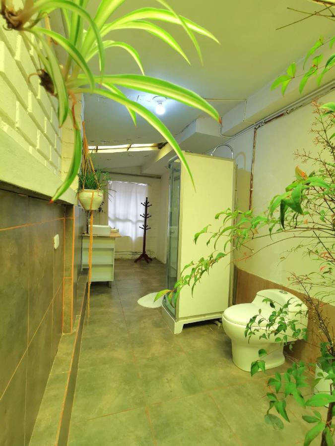 Kintu House Hospedagem domiciliar
